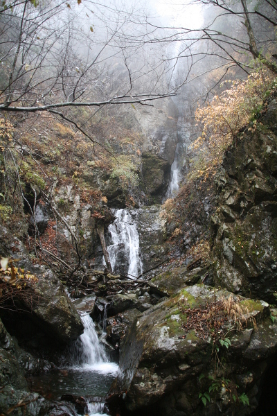 早戸大滝の主写真 0001-017.jpg