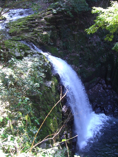 不動滝の主写真 CIMG9843.JPG