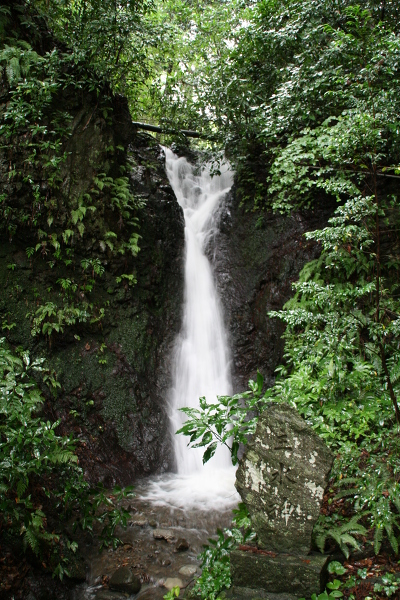 大月沢の滝の主写真 0011-007.jpg