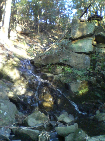 小滝の主写真 20100221164439.jpg