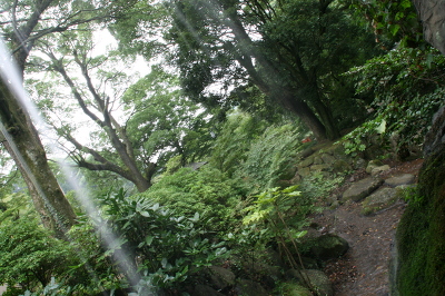 No.6 0013-006.jpg