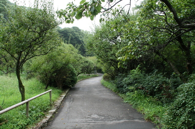No.7 0013-007.jpg