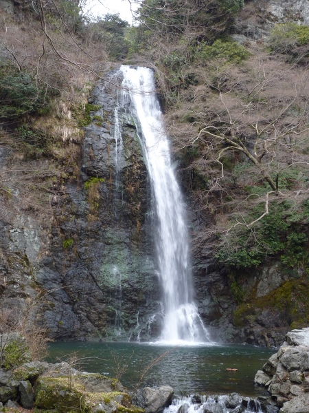箕面滝の主写真 P1140710.JPG
