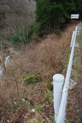 No.2 IMGP4371.JPG