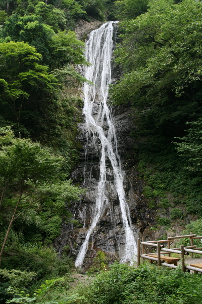 丸神の滝の主写真 IMG_5642.JPG