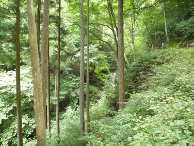 No.3 P1120090.JPG
