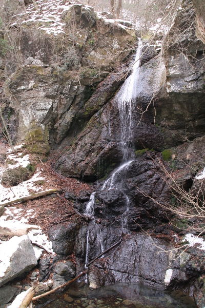 留春の滝の主写真 IMG_6723.JPG