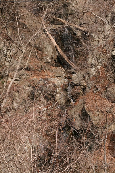 猿臂の滝の主写真 IMG_6742.JPG