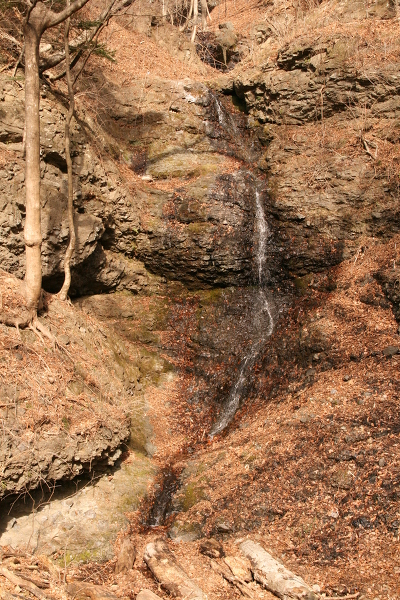 連珠の滝の主写真 IMG_6752.JPG