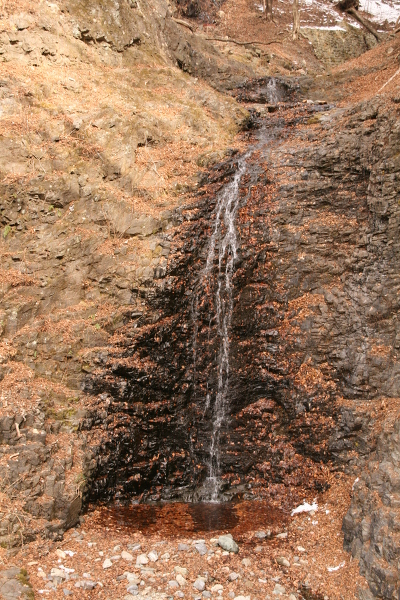 仙髯の滝の主写真 IMG_6764.JPG