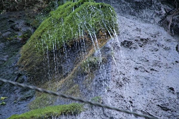 上人の滝の主写真 IMG_4139.JPG