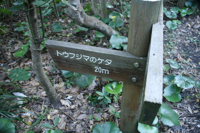 No.7 IMG_4204.JPG