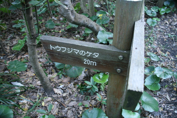 No.7 IMG_4204.JPG