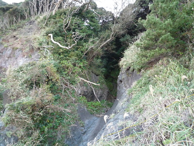 No.18 P1080499.JPG