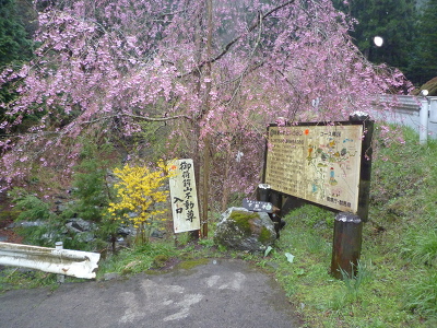 No.18 P1170251.JPG