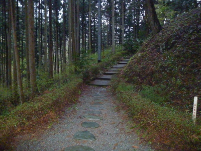 No.20 P1170253.JPG