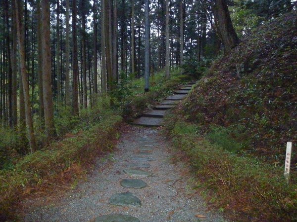 No.20 P1170253.JPG