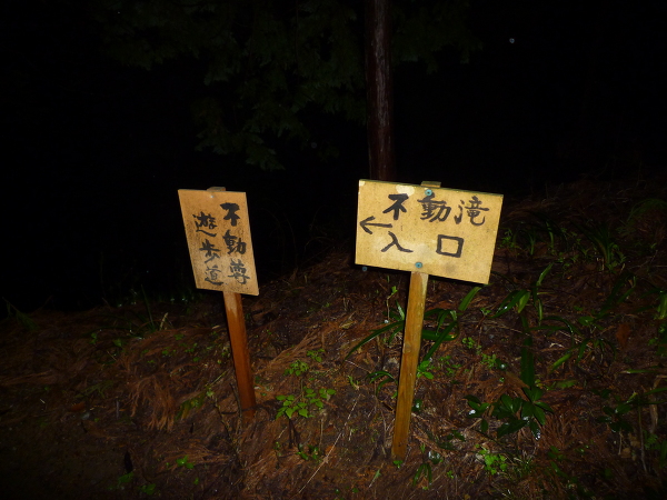No.21 P1170254.JPG