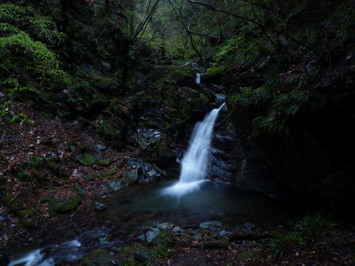 No.22 P1170255.JPG