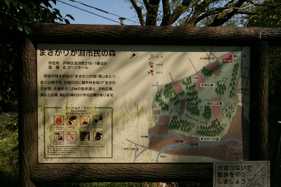 No.3 IMG_7117.JPG