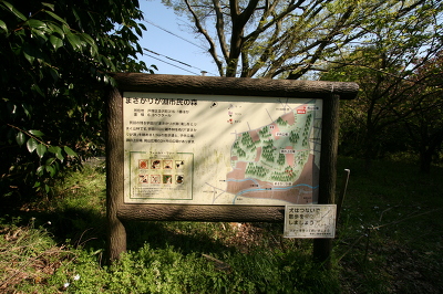 No.4 IMG_7118.JPG