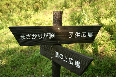 No.5 IMG_7124.JPG