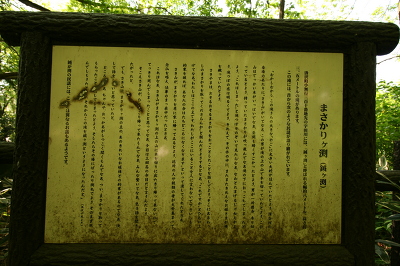 No.7 IMG_7129.JPG