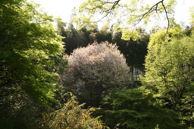 No.8 IMG_7132.JPG