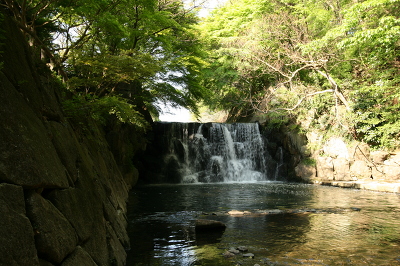 No.12 IMG_7142.JPG