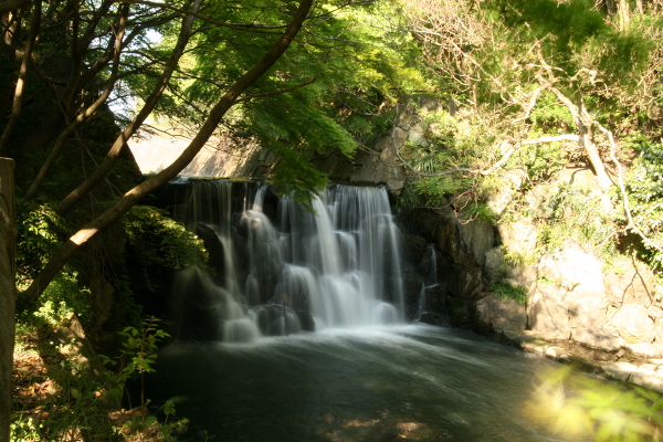 まさかりが淵の主写真 IMG_7159.JPG