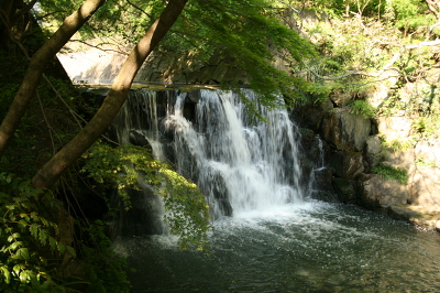 No.17 IMG_7162.JPG