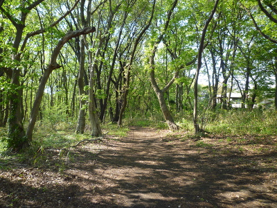 No.22 P1170410.JPG