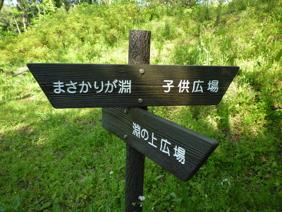 No.23 P1170411.JPG