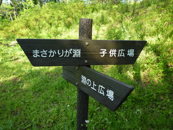 No.23 P1170411.JPG
