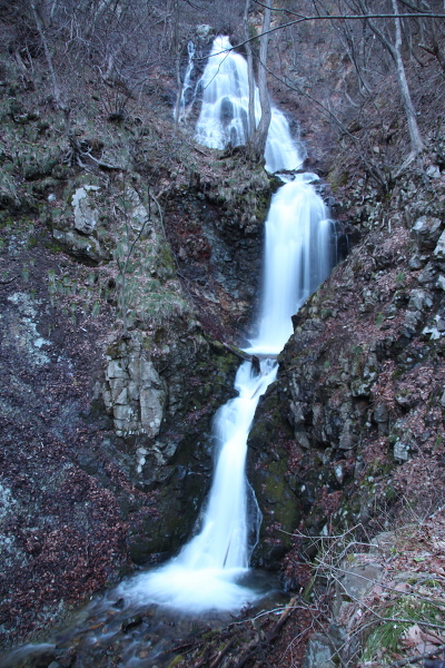 小根津戸の雄滝の主写真 IMG_1754.JPG