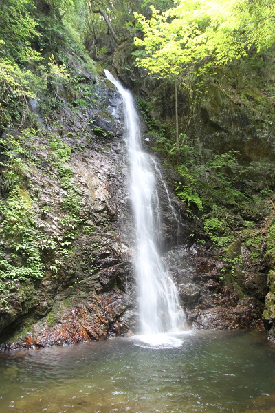 払沢の滝の主写真 IMG_2496.JPG