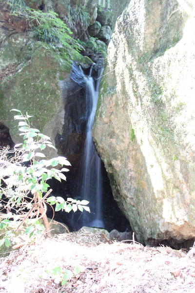 泉沢神社の滝の主写真 IMG_2597.JPG