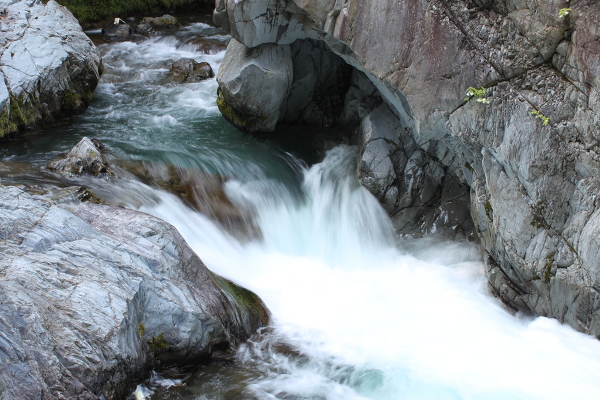 中山の滝の主写真 IMG_2626.JPG