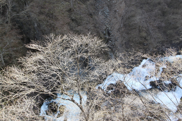 涅槃の滝の主写真 IMG_2233.JPG