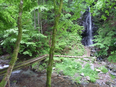 No.2 P1010307.JPG
