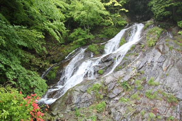 夢の滝の主写真 IMG_2975.JPG