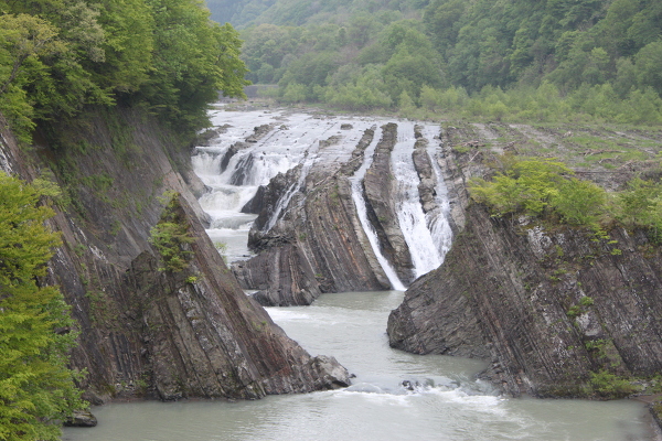 千鳥ヶ滝の主写真 IMG_3489.JPG