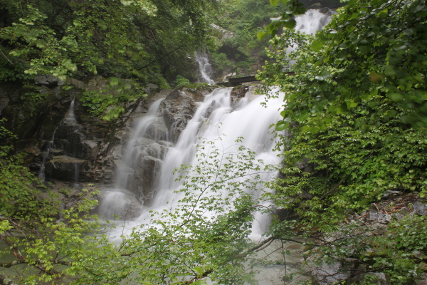 一の滝の主写真 IMG_4437.JPG
