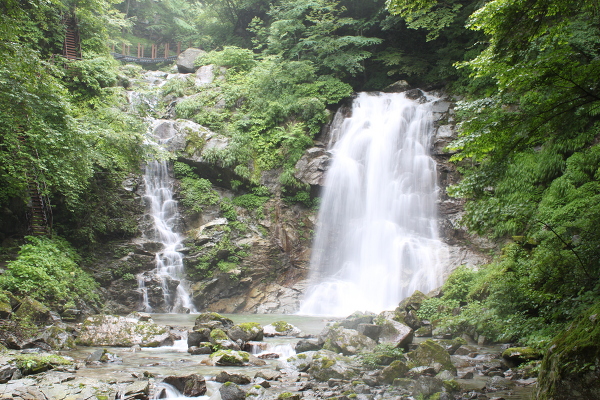 二の滝の主写真 IMG_4448.JPG