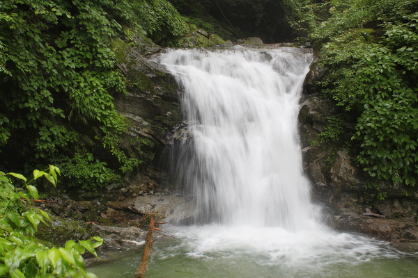 三の滝の主写真 IMG_4461.JPG