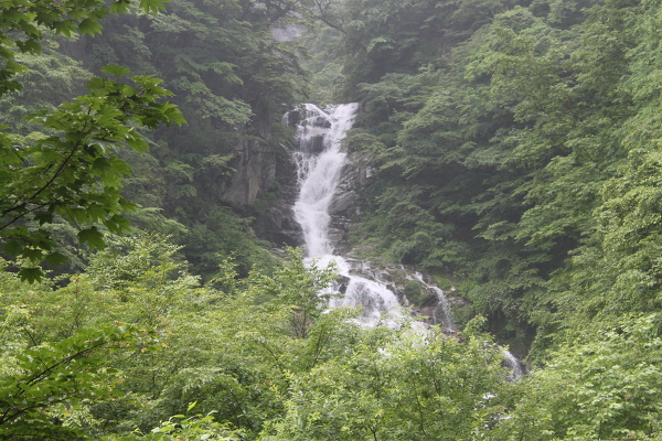 九段の滝の主写真 IMG_4484.JPG