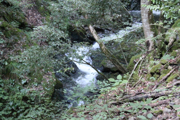連理の滝の主写真 IMG_4688.JPG