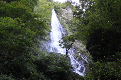No.3 IMG_4723.JPG