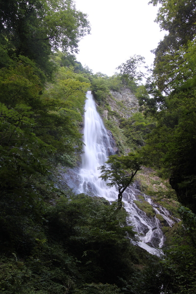 天滝の主写真 IMG_4734.JPG