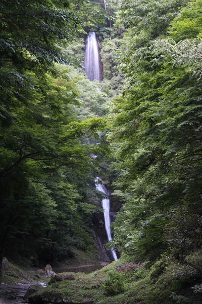 猿尾滝の主写真 IMG_4789.JPG